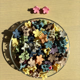 Flower Claw Clip Pair