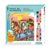 Paint by Numbers Wild Horse