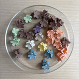 Flower Claw Clip Pair