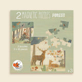 Magnetic Puzzles