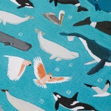 Animal World Posters & Stickers