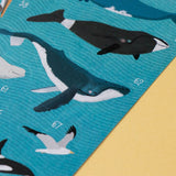 Animal World Posters & Stickers