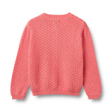 Knit Cardigan Magnella