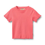 Rib Cotton T-Shirt Alicia