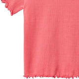 Rib Cotton T-Shirt Alicia