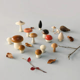 Mushroom Forest