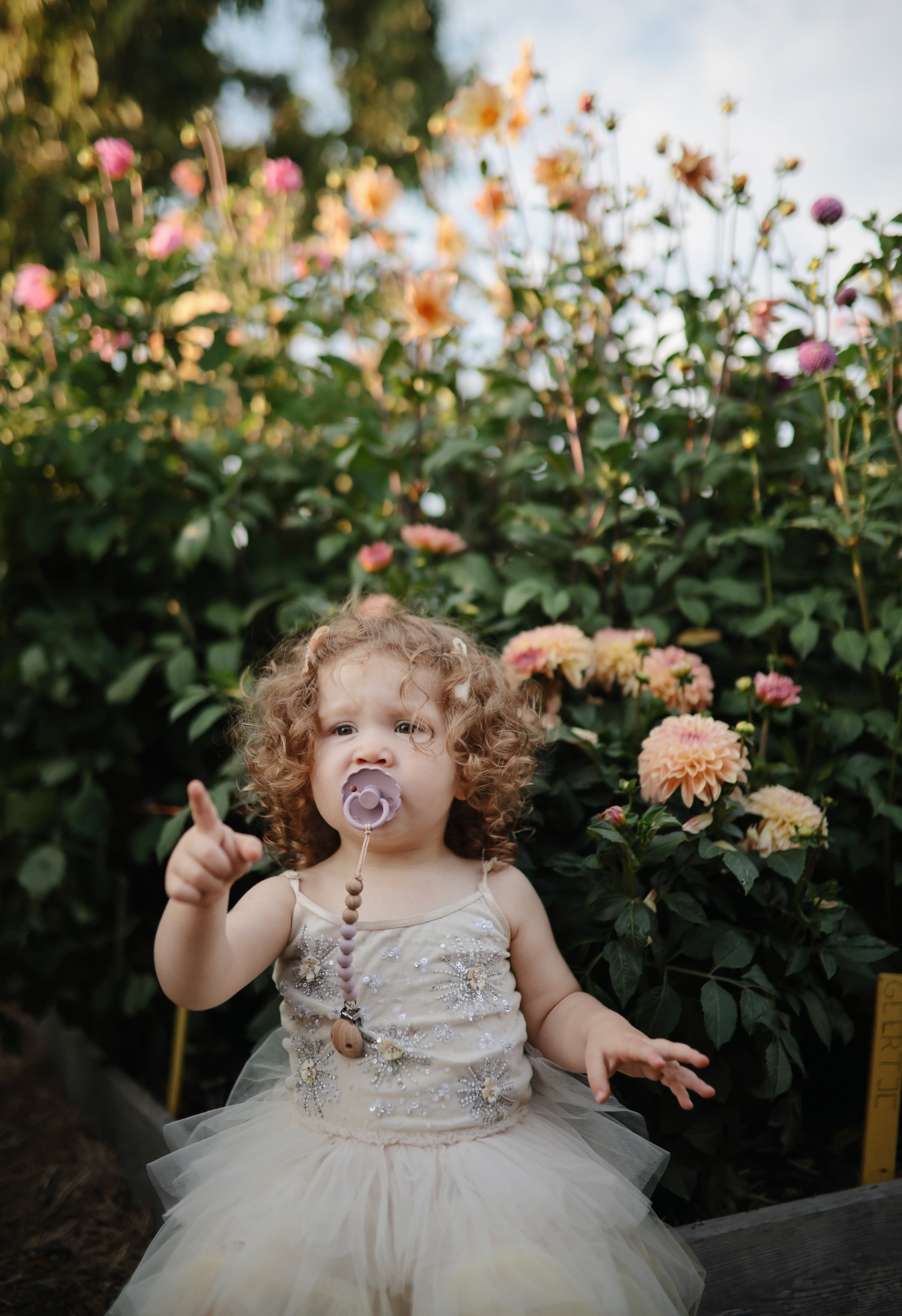 Tutu Pacifier FRIGG Daisy Natural Rubber Pacifier 2-Pack – Rainy Days