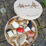 Mushroom Forest
